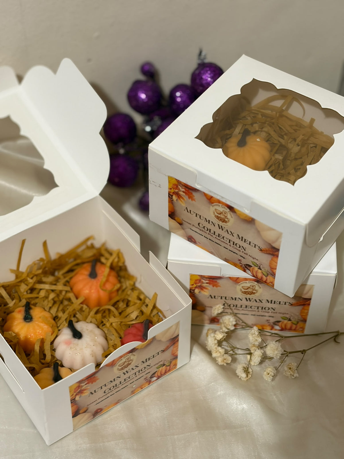Autumn Pumpkin Wax Melts