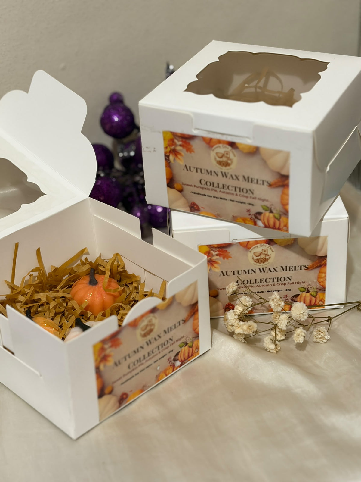 Autumn Pumpkin Wax Melts