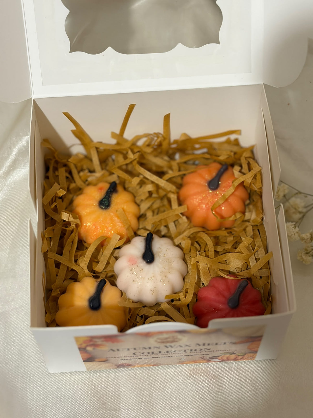 Autumn Pumpkin Wax Melts