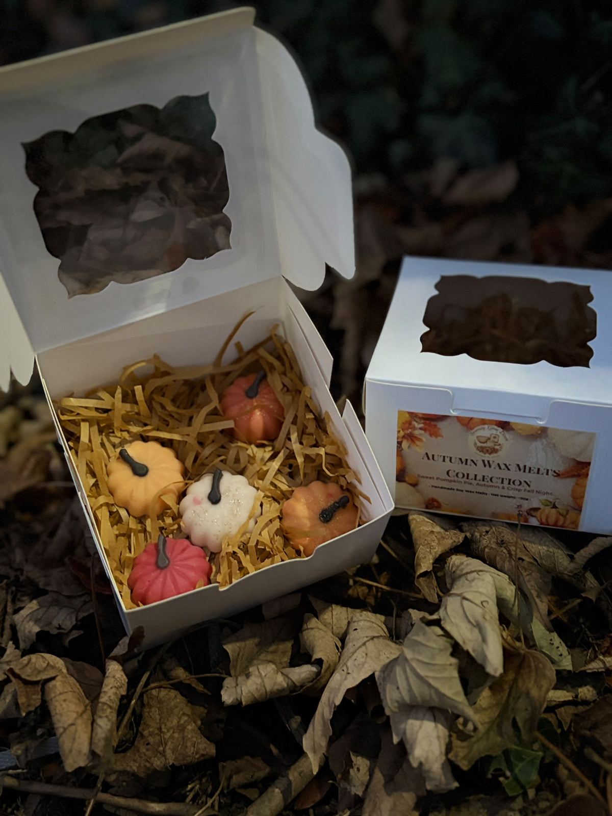 Autumn Pumpkin Wax Melts