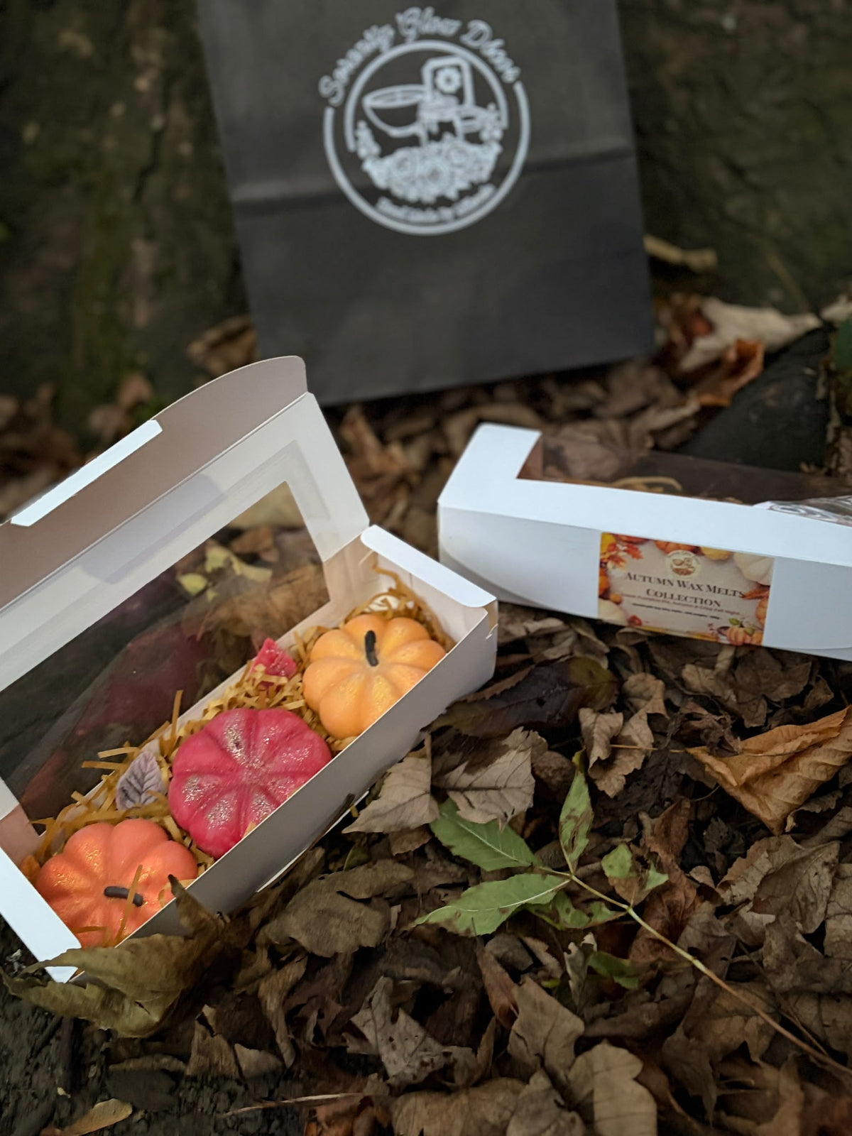 Autumn Pumpkin Wax Melts